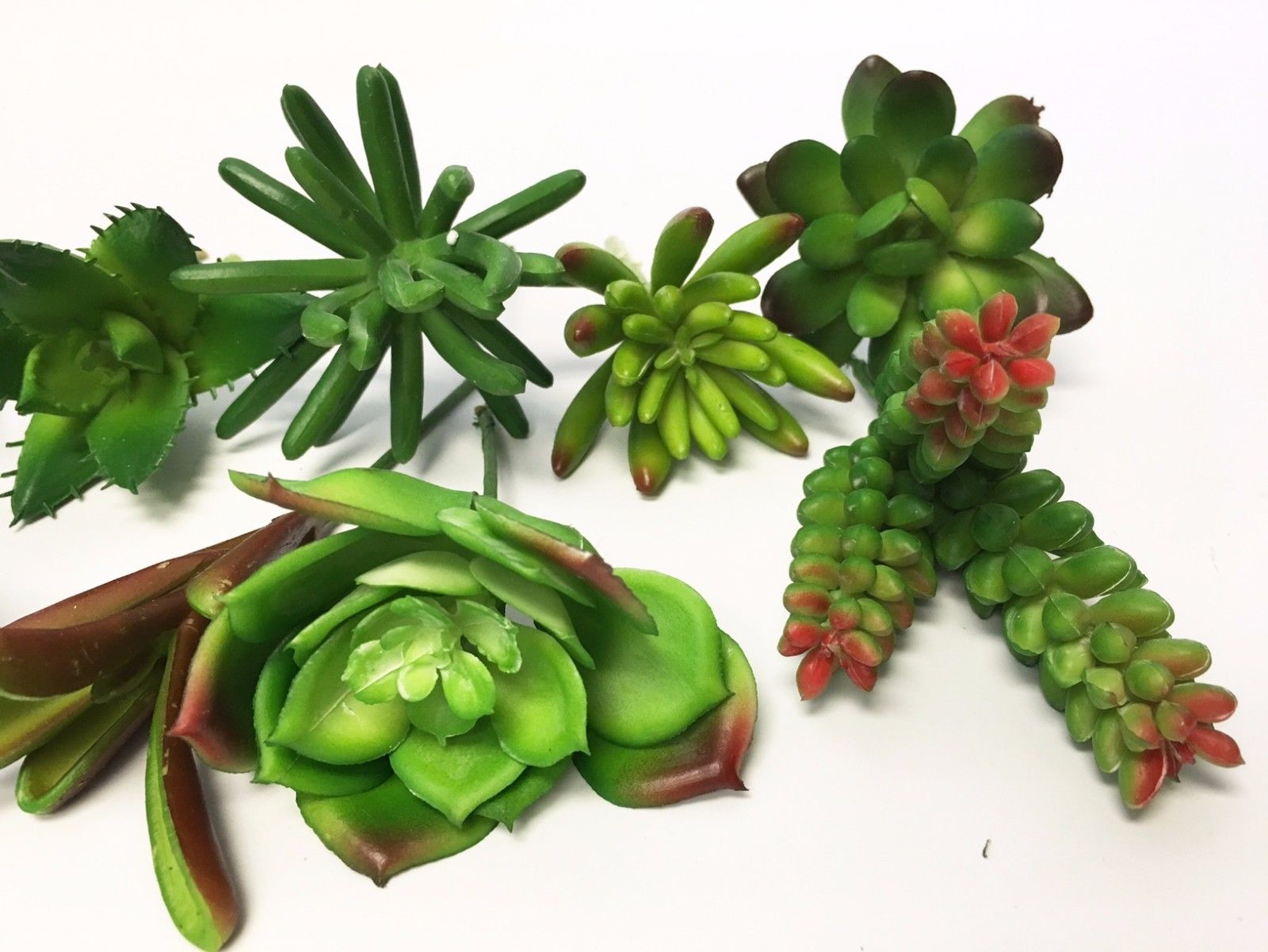 Set of 20 Premium Quality Assorted Artificial Succulent stems natural lifelike eBay