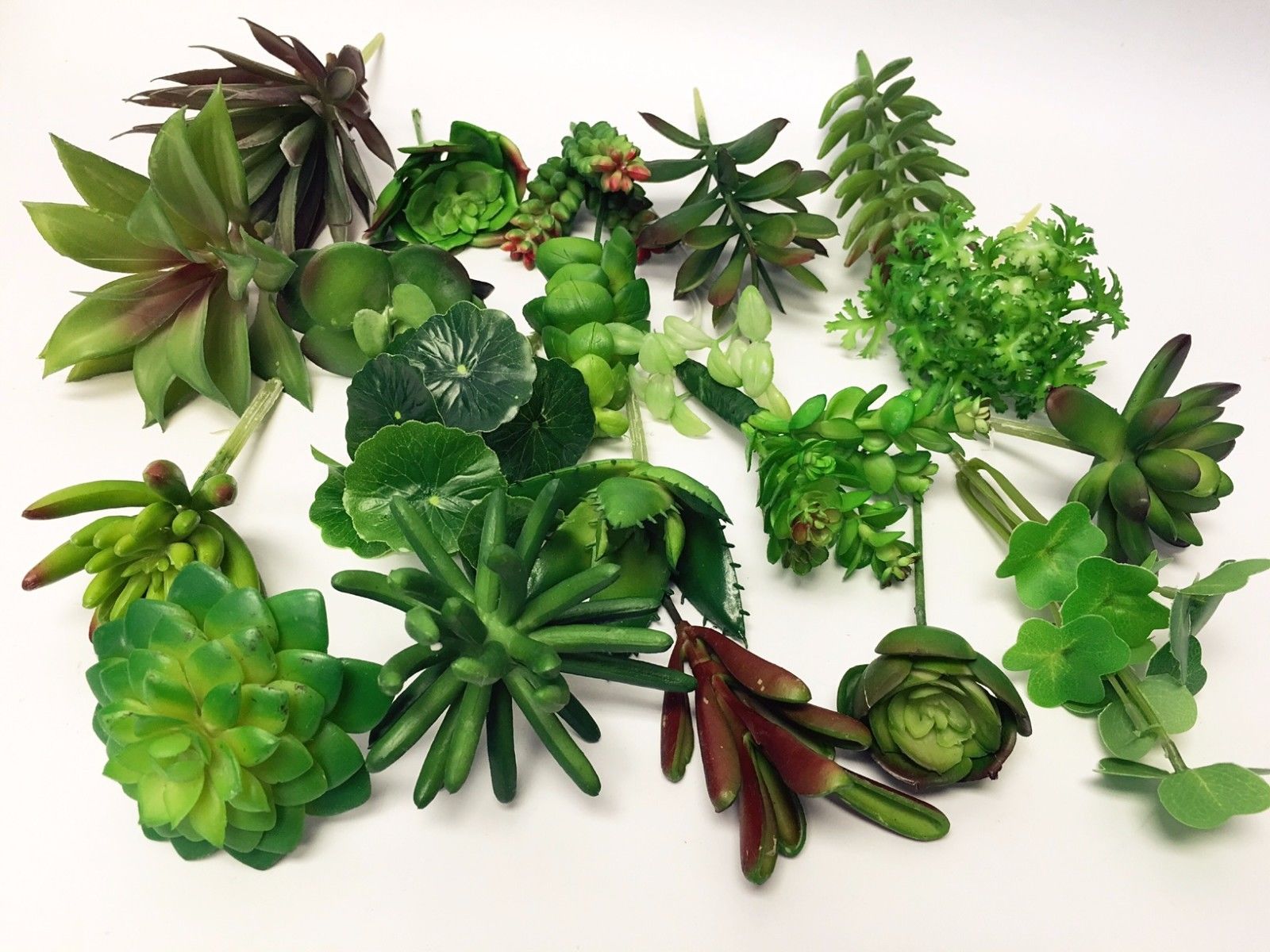 Set of 20 Premium Quality Assorted Artificial Succulent stems natural ...